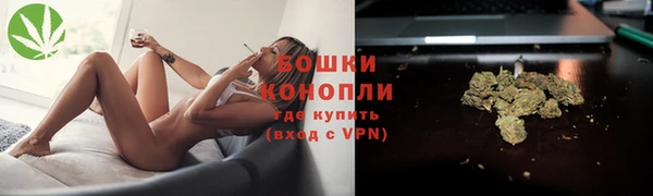 спиды Нея