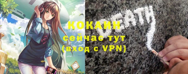 спиды Нея